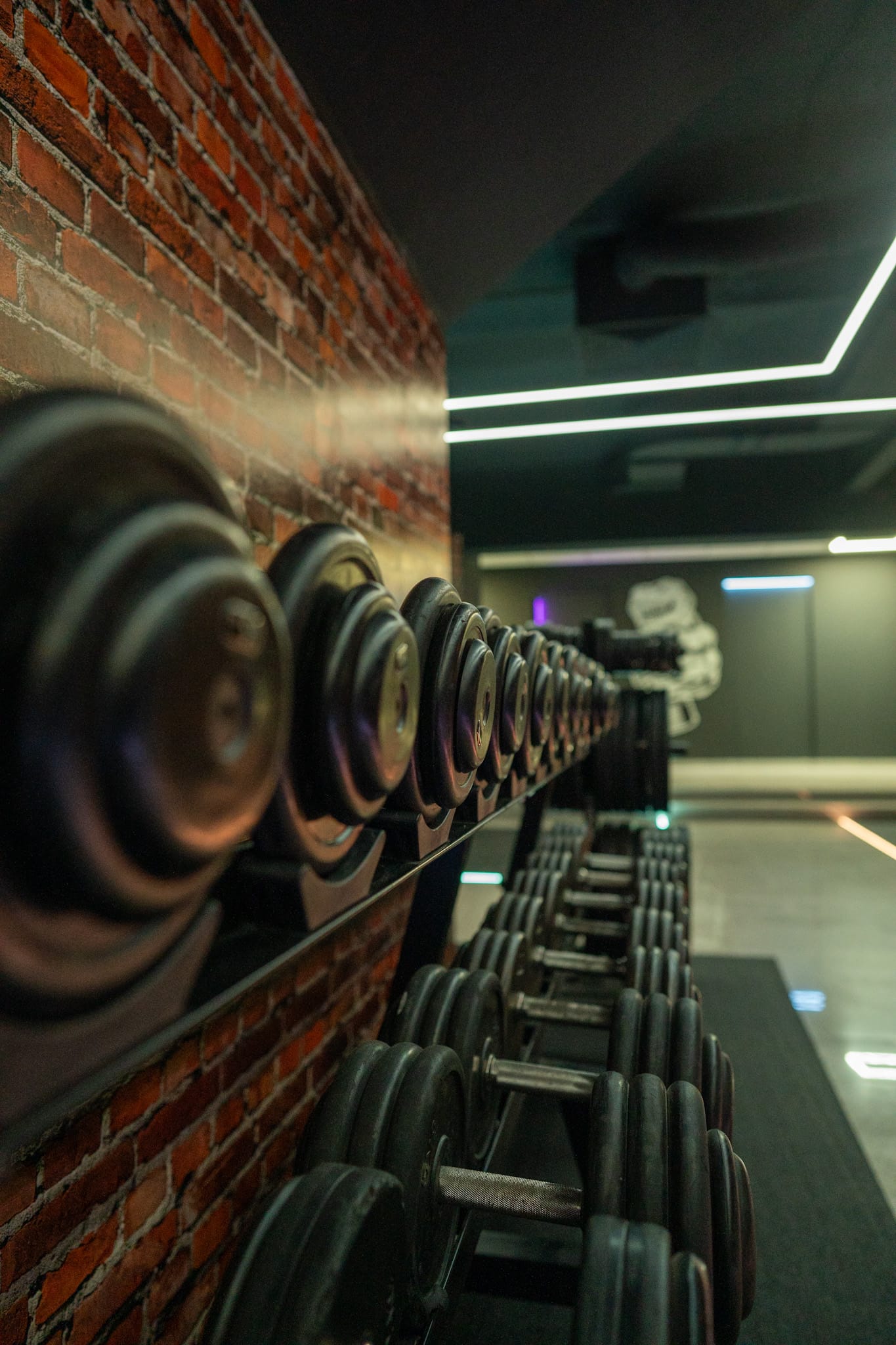 Reihe von Kurzhanteln im modernen Trainingsbereich des T-Flex Fitnessstudios Dortmund