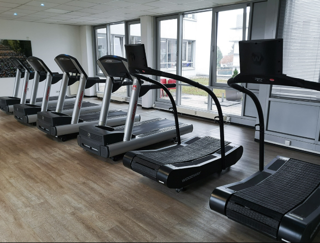 Heller, moderner Cardio-Bereich mit hochwertigen Laufbändern und Blick ins Freie bei Clever Fit Wiesbaden
