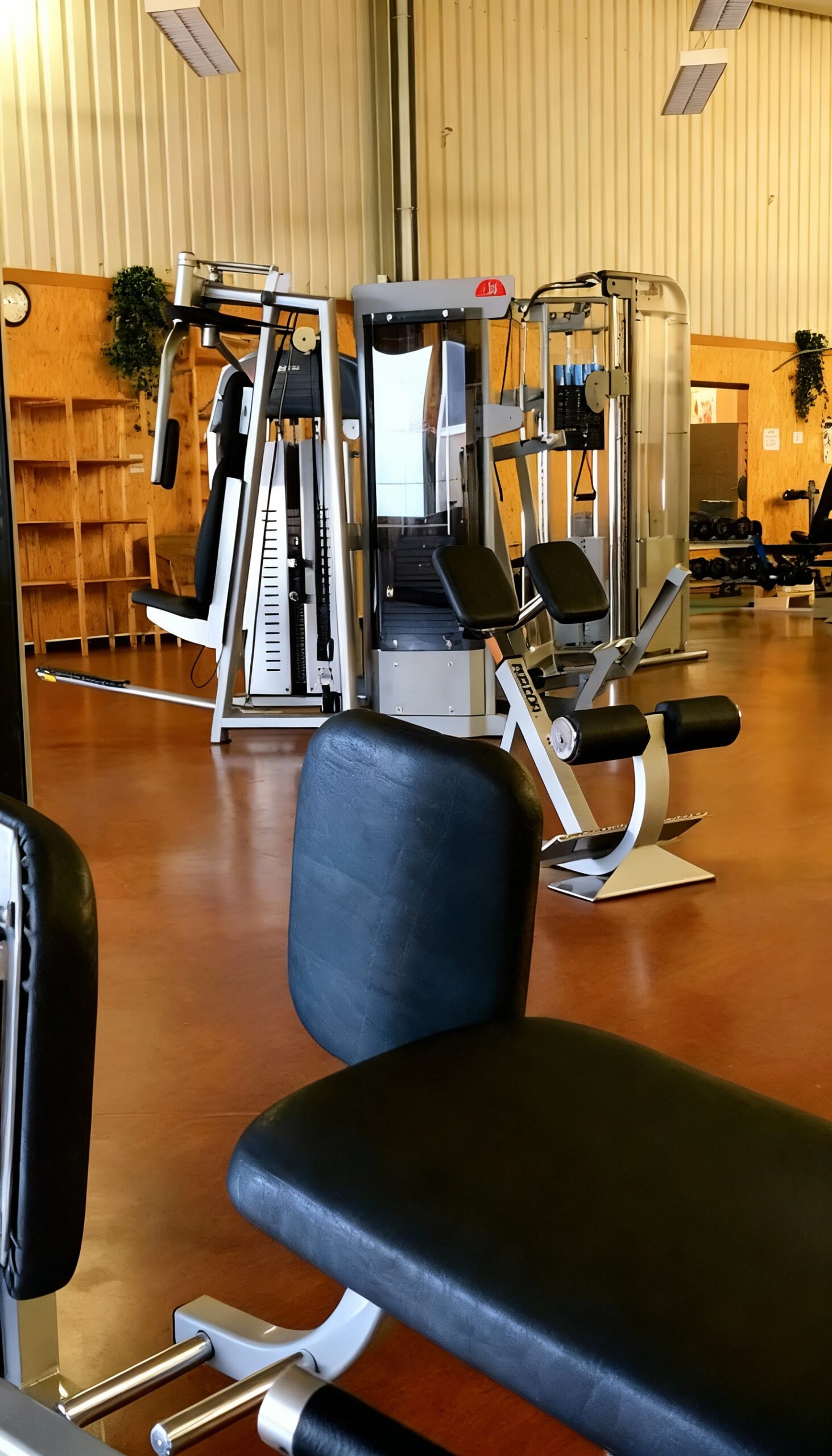 1 Monat Fitness Schnupperkarte und Sauna – Bild 3