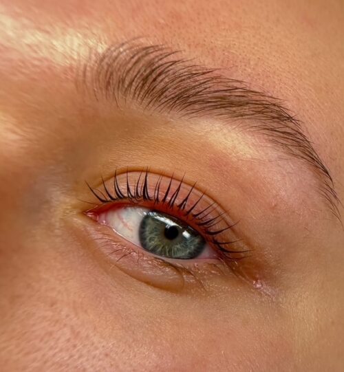 Lash  &  Brow Lift