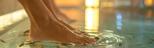 Fish Spa für Hand- oder Fußpflege